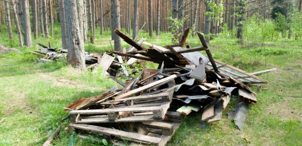 Debris Removal Service in Hamilton
