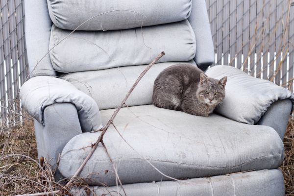 Recliner Disposal in Hamilton