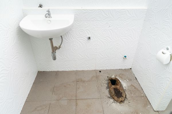 Toilet Disposal in Hamilton